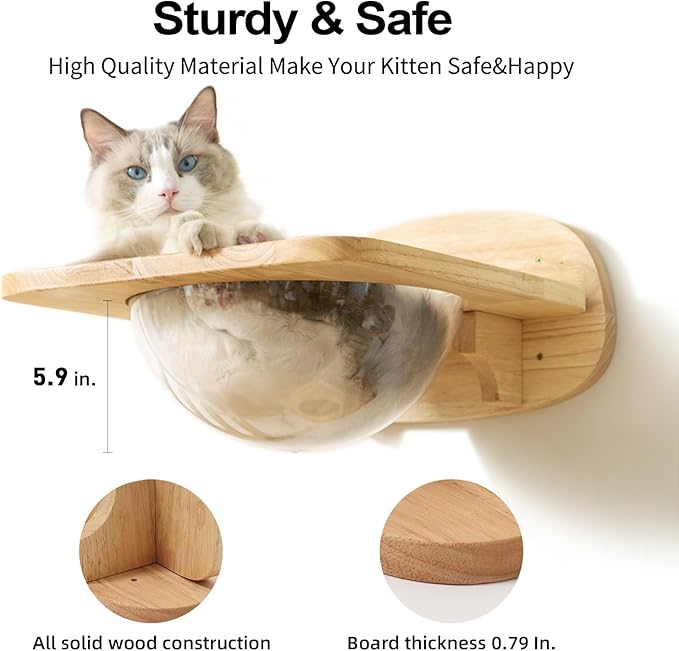 FUKUMARU Cat Wall Furniture Set, Transparent Capsule Cat Wall Shelves with 2 PCS Pedals - Premium Kitty Bed for Sleeping, Playing, Climbing, and Lounging - Easily Holds Up to 35 Lbs