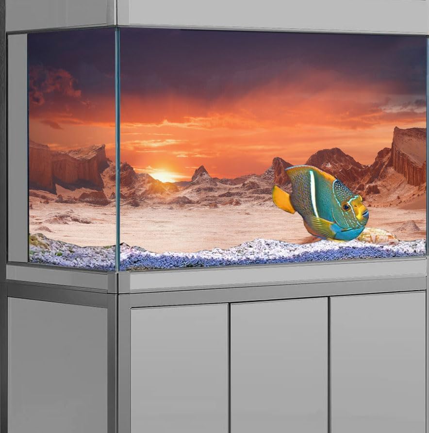 48X24IN Sun and Desert Moon Themed Reptile Habitat on Orange Durable Decorative Background, Terrarium Background with 10EVA Double-Sided Tape