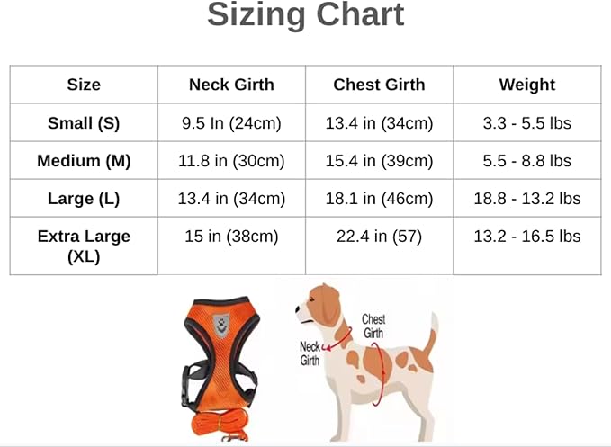 Step-in Dog, Cat, and Puppy Harness and Leash | All Weather Mesh | Reflective Harness & Leash for Small Dogs and Cats (Red, Small)