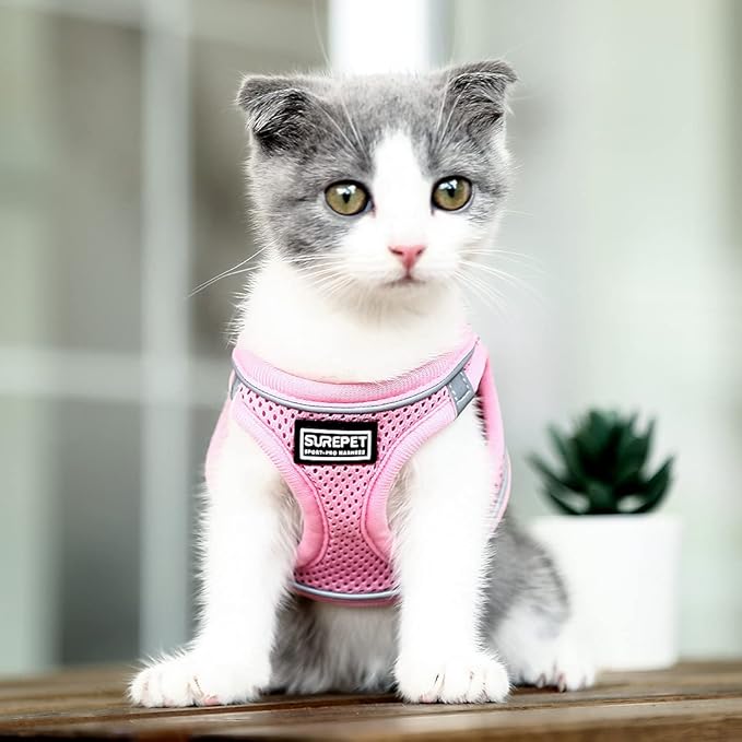 Soft Mesh Dog Harness and Leash Set, Step-in Reflective Breathable Comfort Padded Quick Dry Pet Puppy Vest Harness for Extra-Small/Small Medium Dogs and Cats (Pink, XS)