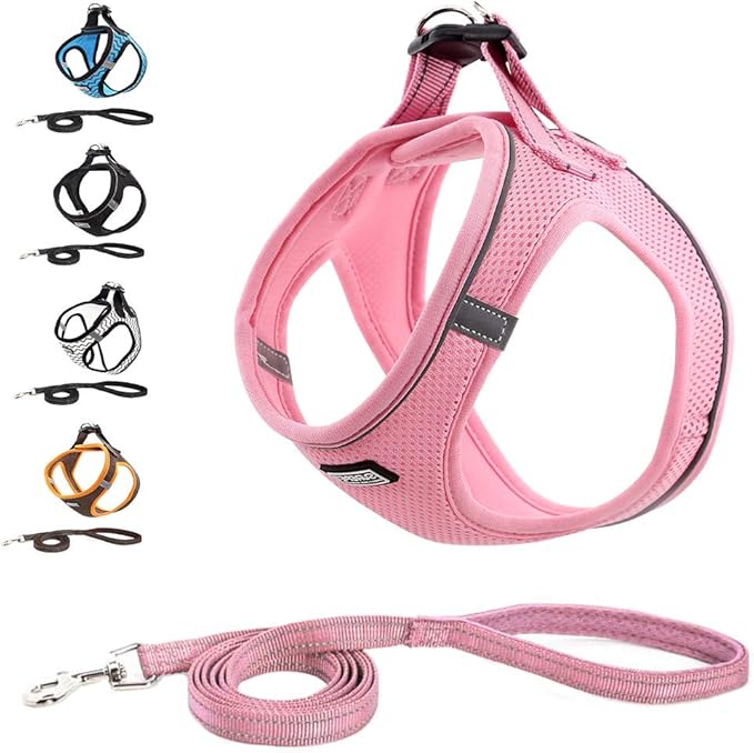 Soft Mesh Dog Harness and Leash Set, Step-in Reflective Breathable Comfort Padded Quick Dry Pet Puppy Vest Harness for Extra-Small/Small Medium Dogs and Cats (Pink, XS)