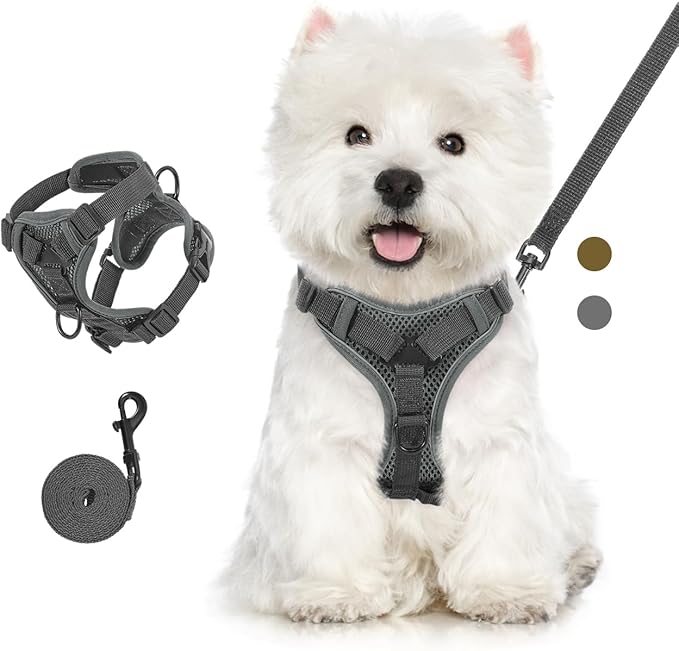 Cat Harness and Leash Set for Walking, Adjustable Kitten Vest Harness with Reflective Strip Breathable Mesh, Escape Proof Soft Pet Safety Vest for Cats, Kittens, Puppies, XL Grey