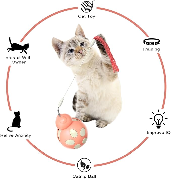 3 in 1 Interactive Cat Toy with Tumbler Cat Toy, Cat Feather Toy, and Cat Food Toy for Indoor Cats - Best Cat Dancer Wire Toy for Training and Iq Increase and Reliving Anxiety