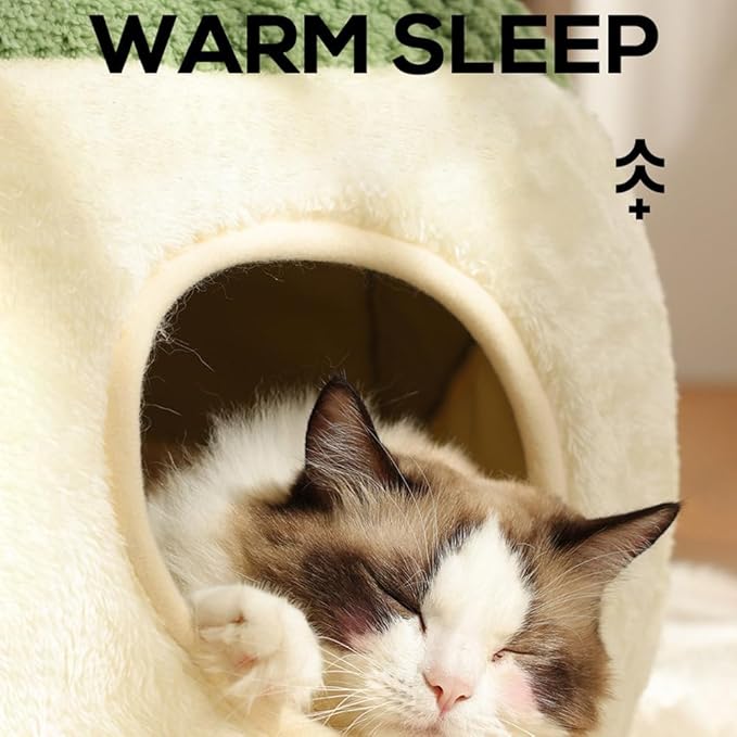 Cat Bed Ultra-Soft 2-in-1 Plush Cat Bed Indoor Cat House Bed Pad with Removable Cushion - Relieves Muscle, Joint Pressure for Ultimate Pet Comfort, Anti-Slip Design, Washable (Medium)