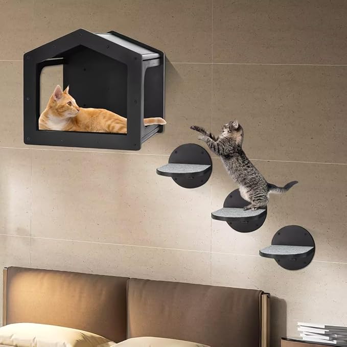 Cat Wall Shelves, Cat Shelves and Perches for Wall, Cat House Fit Cat Up to 25Lbs, 1 Cat Condo House and 3 Large Cat Steps with Scratching Pad, Cat Climbing Shelf for Indoor, Cat Wall Furniture