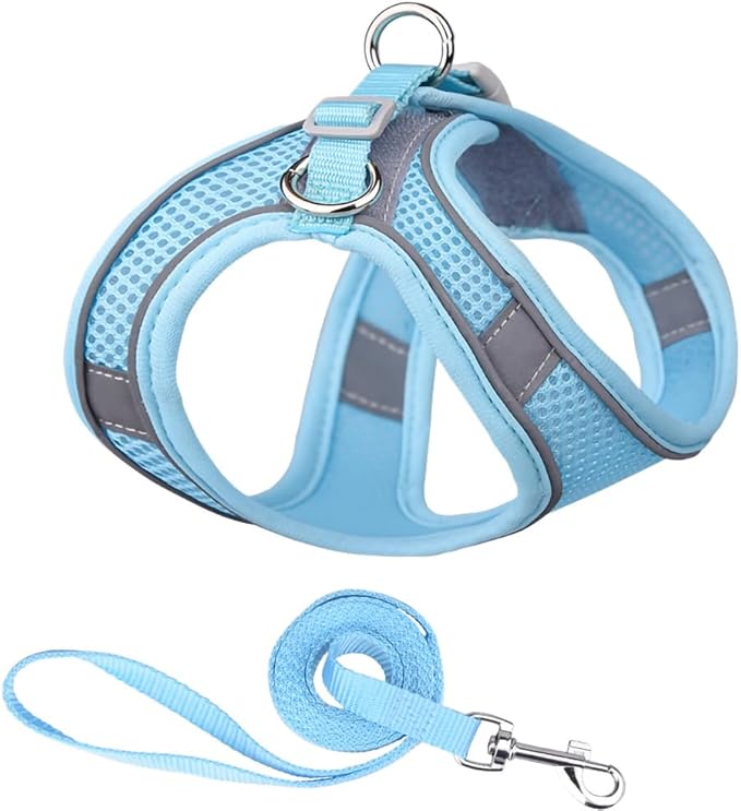 Cat and Small-Medium Dog Harness, No-Pull Pet Vest with Leash for Walking, Puppy Harness Set, Step-in Dog Harness for Small Breeds, Adjustable Mesh Harness