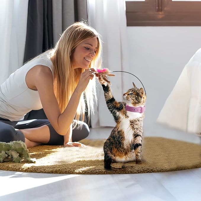 Abnaok Cat Feather Collar Toys, Interactive Cat Toys for Indoor Cats Teasing Wand Collar Funny Cat Toy with Bell and Replaceable 3 Feathers Refills Multiple Ways for Cats to Play