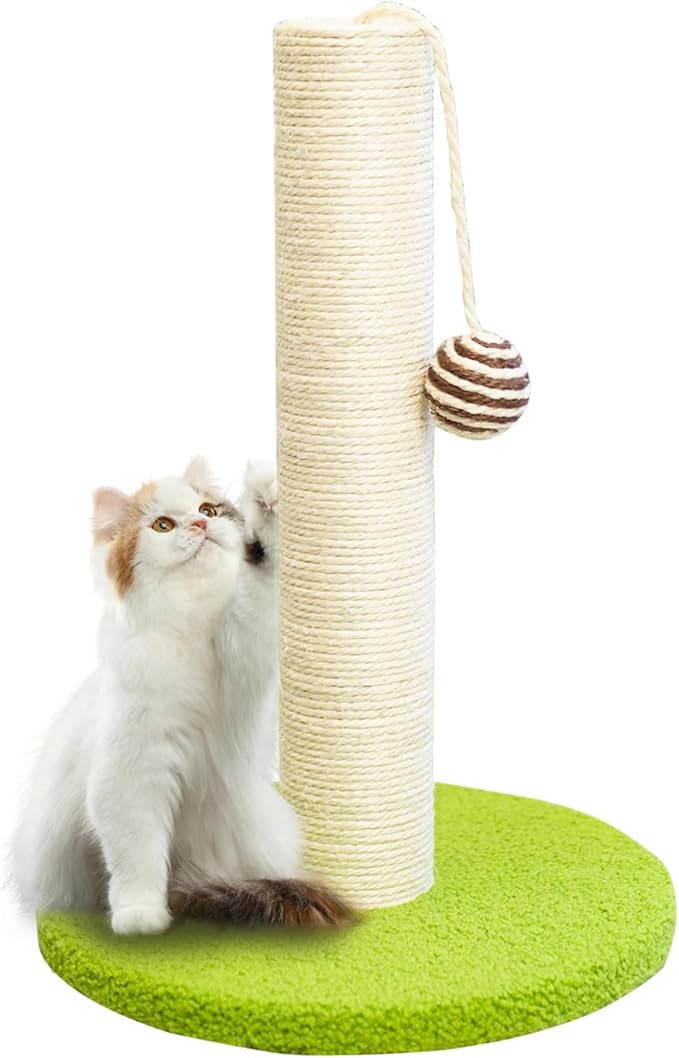 17 Inch Tall Cat Scratching Post Cat Scratcher- Sisal Rope and Carpet Scratching Pole with Hanging Ball Toy for Adult Cats and Kittens (Green)