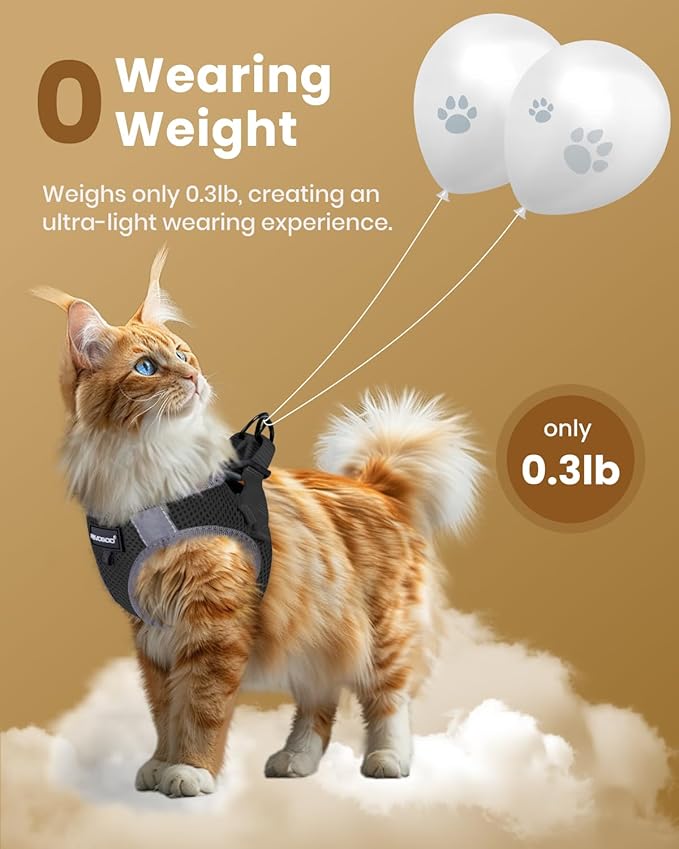 FAYOGOO Cat Harness and Leash Set for Walking Escape Proof, Kitten Adjustable Small Large Cat Lightweight Soft Vest Harness and Leash