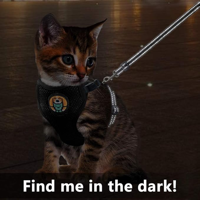 Reflective Kitten Harness and Leash Escape Proof with Car Seat Belt, Adjustable Cat Puppy Walking Jacket with Metal Leash Ring, Soft Breathable Small Pet Vest (M)