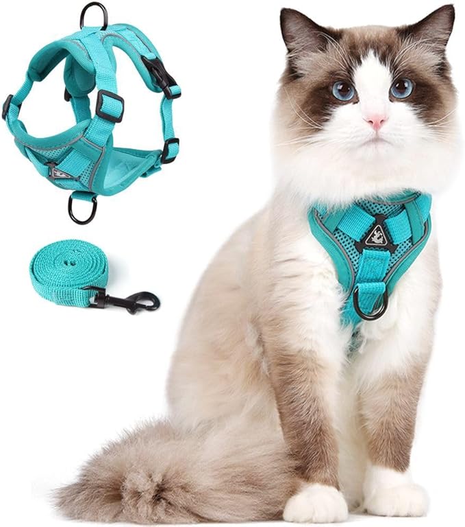 Cat Harness and Leash Set, Upgraded Escape Proof Adjustable Vest with Lead for Kitten Puppy Outdoor Walking, Soft Breathable Mesh Jacket with Reflective Strips for Dark Night (M, Emerald Green)