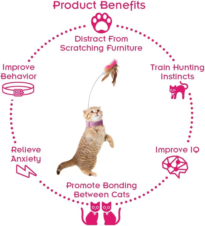 Abnaok Cat Feather Collar Toys, Interactive Cat Toys for Indoor Cats Teasing Wand Collar Funny Cat Toy with Bell and Replaceable 3 Feathers Refills Multiple Ways for Cats to Play