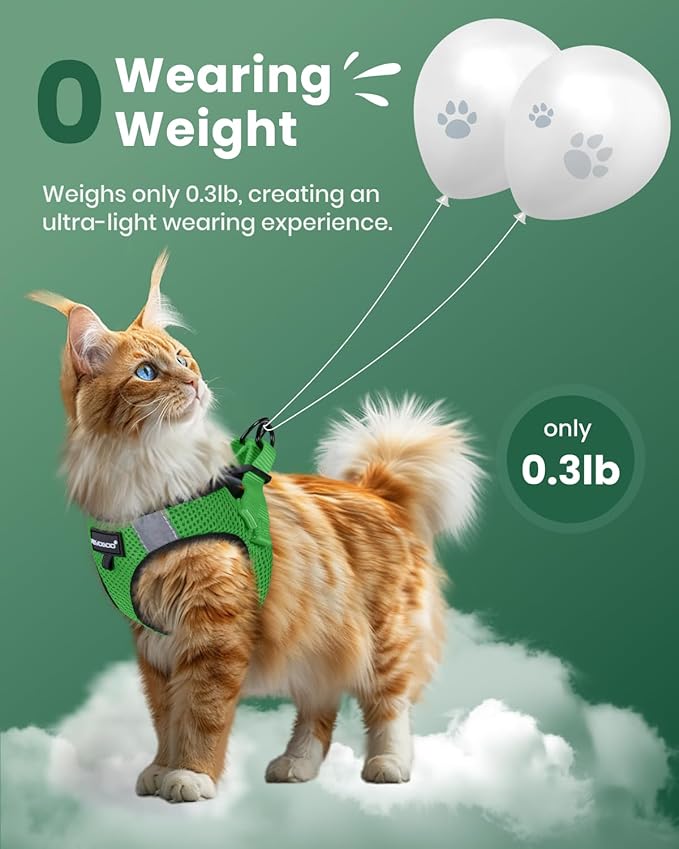 FAYOGOO Cat Harness, Cat Leash and Harness Set for Walking Escape Proof, Harness for Small Cats/Small Dogs, Large Kitten/Puppy Harness and Leash, Harness for Cats S-XXL(Neon Green, Small)
