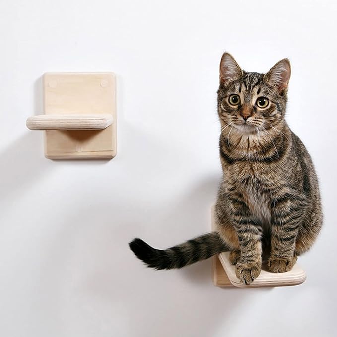 3 PCS Cat Wall Shelves,Wood Cat Wall Steps Cat Climber - Cat Wall Climbing Ladder, Wall Mount Cat Climbing Shelves, Cat Perch for Wall, Cat Hammock Bed, Indoor Cat Wall Furniture (3 PCS)