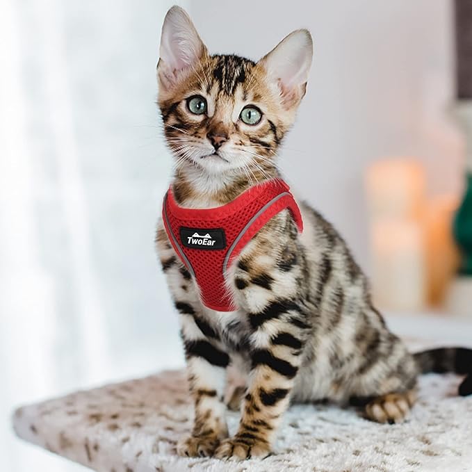 TwoEar Cat Harness Escape Proof, Soft Dog Vest Harness Adjustable, Breathable Mesh Step-in Puppy Walking Jacket Reflective Easy Control for Extral Small Pets for Outdoor Walking(XXXS, Red)