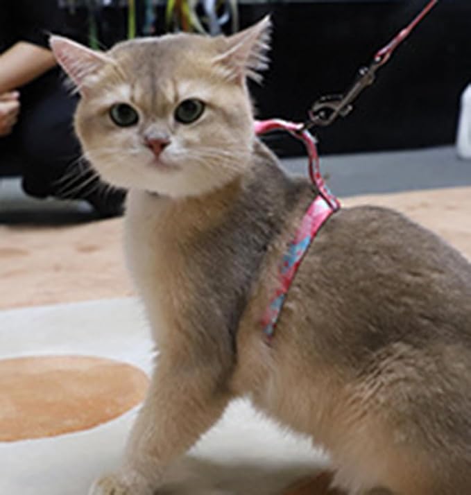 Cat Harness Escape Proof Cat Harness and Leash Set for Walking Soft Adjustable Kitten Harness for Small Large Cats (Multicolor5)