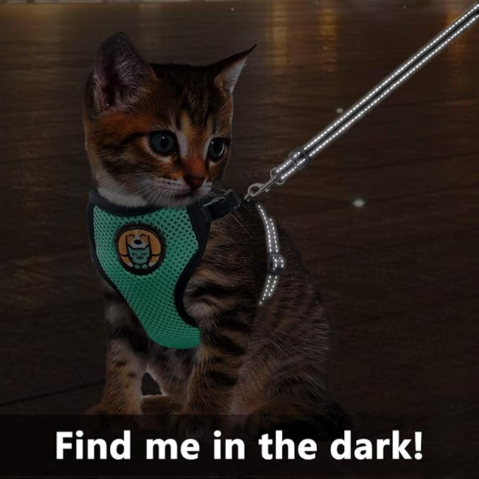 Reflective Kitten Harness and Leash Escape Proof with Car Seat Belt, Adjustable Cat Puppy Walking Jacket with Metal Leash Ring, Soft Breathable Small Pet Vest (S)