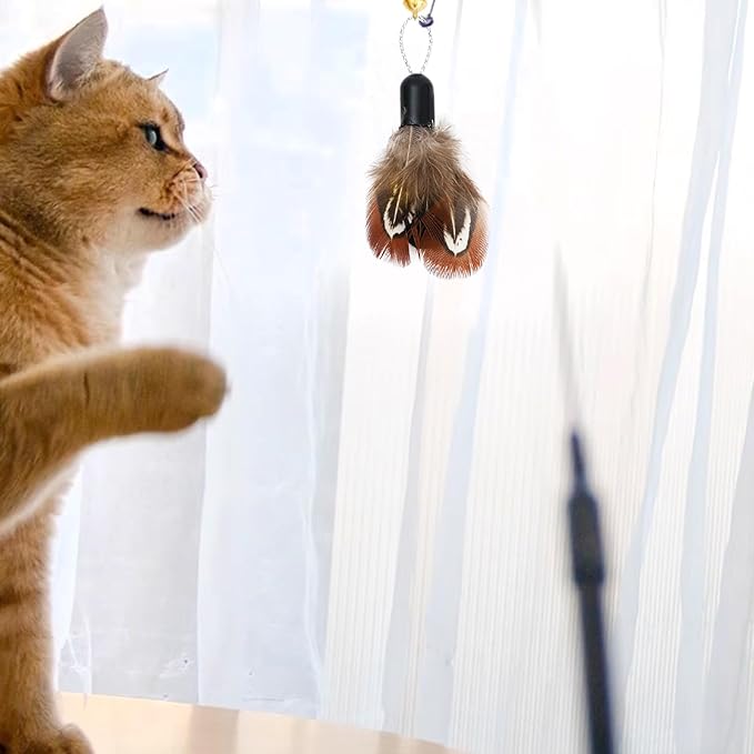 10 Pieces Cat Insect Feather Toys Replacement Cat Toy Wand Refills Interactive Cat Teaser Wand Attachments with Bell for Cat Toys