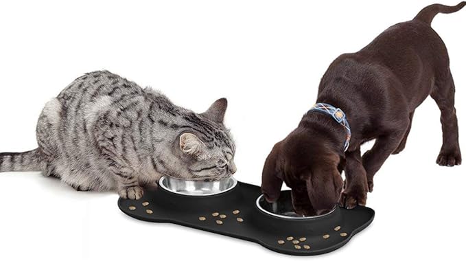 AsFrost Dog Food Bowls Stainless Steel Pet Bowls & Dog Water Bowls with No-Spill and Non-Skid, Feeder Bowls with Dog Bowl Mat for Small Medium Large Size Dogs Cats Puppy Pets, Dog Dishes, Black, 12oz
