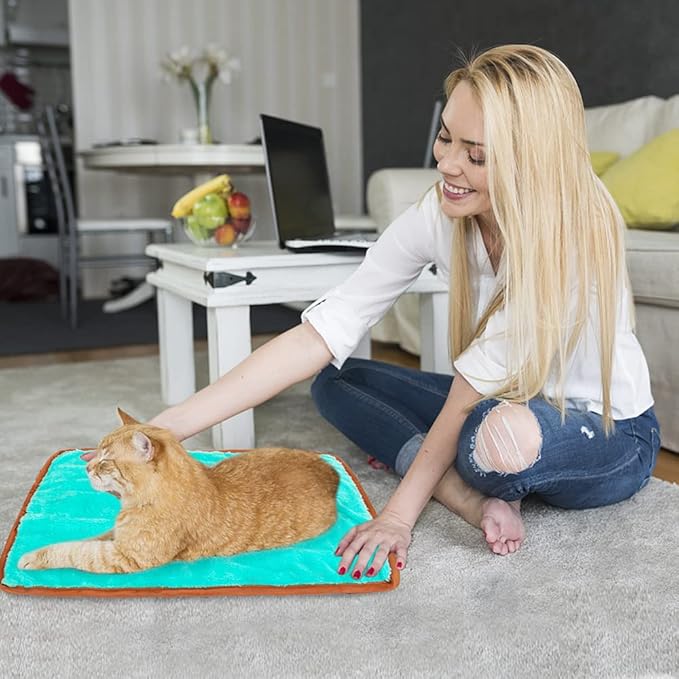 Cat Mat for Small Medium Large Cats,Cute Cat Catnip Crinkle Toys, Soft Plush Catnip Mat for Kitten Sleeping Snuffing Rolling Playing,Mashine Washable Cat Play Mat Pet Cushion Pad Mat Cat Gifts