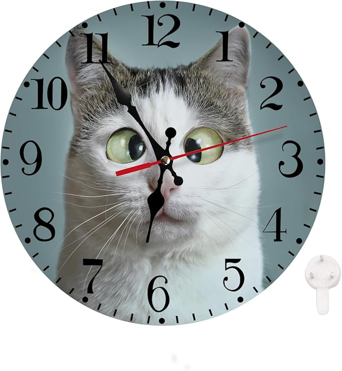 Ansouyi Round Wall Clock Battery Operated Clocks Wallclock 10 Inch,Funny Cute Cat Silent Non Ticking Wall Clock for Living Room,Kitchen,Home,Bathroom,Bedroom,Office or School