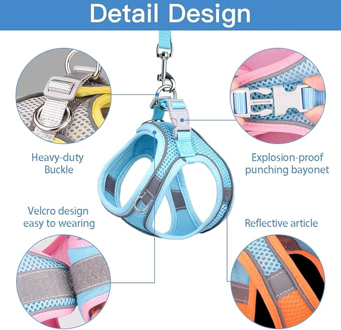 Cat and Small-Medium Dog Harness, No-Pull Pet Vest with Leash for Walking, Puppy Harness Set, Step-in Dog Harness for Small Breeds, Adjustable Mesh Harness
