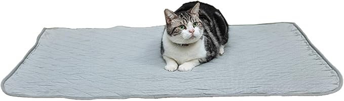 SEIS Dog Ice Pad Ice Silk Cats Kennel Mat Pet Cooling Pad Summer Cool Bamboo Mat Breathable Pad (Solid Gray, M