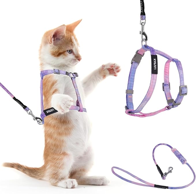 Giantree Cat Harness with Leash and Collar Set, Adjustable H-Shaped Kitten Harness Escape Proof Harness Glow in The Dark for Kitty Outdoor Walking (Gradient Purple)