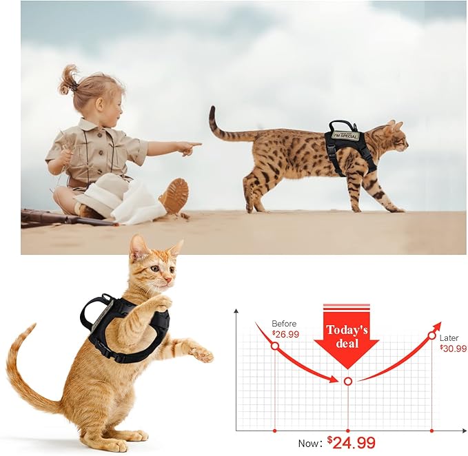 Tactical Cat Harness for Walking Escape Proof, Soft Mesh Adjustable Pet Vest Harness for Large Cat,Small Dog (Medium, Black)