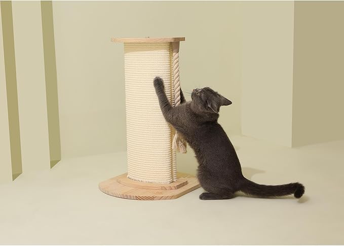 Cat Scratching Post, 23 Inches/58cm Large Cat Scratch Post for Adult Cats and Kittens, Nature Sisal,Wooden Base, Modern Cat Scratcher for Indoor Cats, Protect Your Furniture, Beige