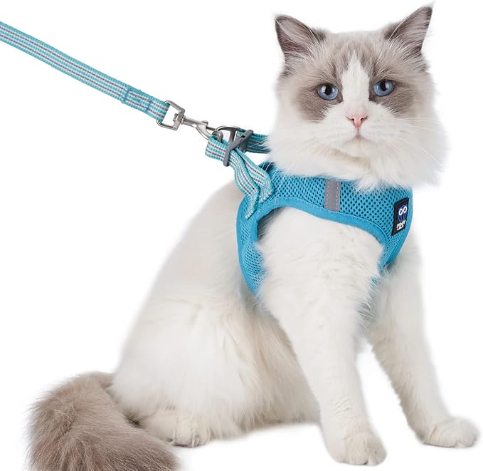 Cat Harness and Leash for Walking Escape Proof, Adjustable Soft Mesh Comfortable Vest Harnesses for Cats, Breathable Reflective Strips Easy to Put on Step-in Kitty Jacket (Turquoise, XS)