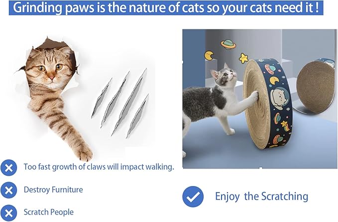 Potato Brothers-Pet Toys- Fetch Mate, Scratchers for Cat, Light Weight, Convenient for All Locations (Bowl-Shaped) Both Sides … (Dinosure)