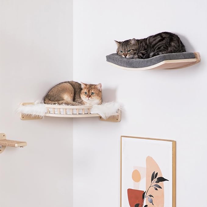Cat Wall Shelves,Wall Mounted Cat Wall Furniture,Curved Cat Shelves and Perches for Wall,Floating Cat Wall Bed Cat Shelf with Comfortable Cat Cushion