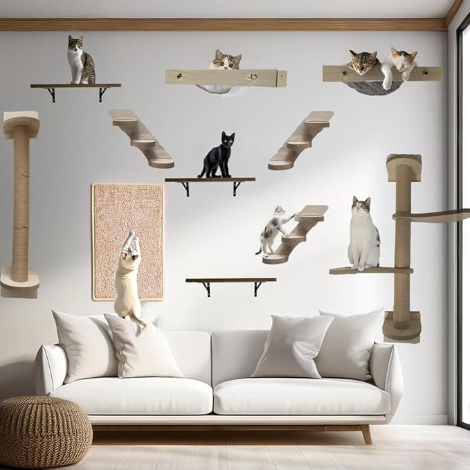 Cat Wall Shelves Furniture - Cat Shelf for Wall - Cat Tree Wall Climber Climbing Wall Mounted Furniture - Cat Jungle Gym for Indoor