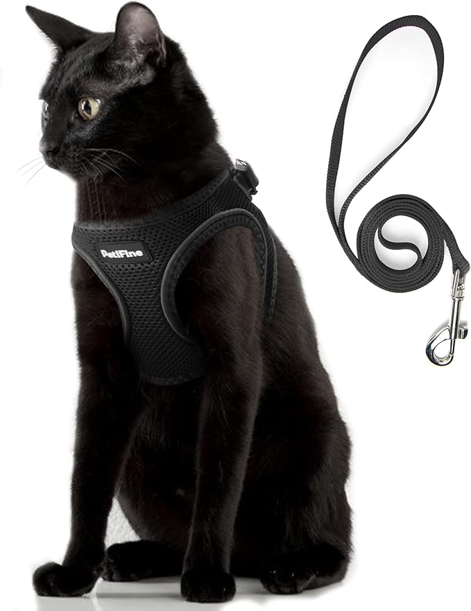 PetiFine Extra Small Step in Dog Harness and Leash Set, Cat Harness and Leash Escape Proof, All Weather Mesh Reflective, Step-in Air Vest Harnesses for Puppy(XXS, Black)