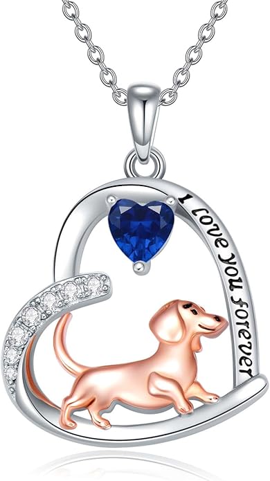 Dachshund Necklace 925 Sterling Silver Dachshund Birthstone Pendant Cute Animal Puppy Dog Dachshund Jewelry Gifts for Women Dachshund Lover