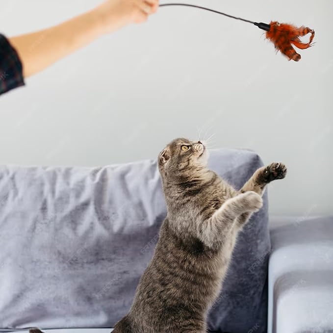 8 Pieces Cat Feather Toys Replacement Cat Toy Wand Refills Cat Toy Replacement Natural Bird Feathers for Cat Toys