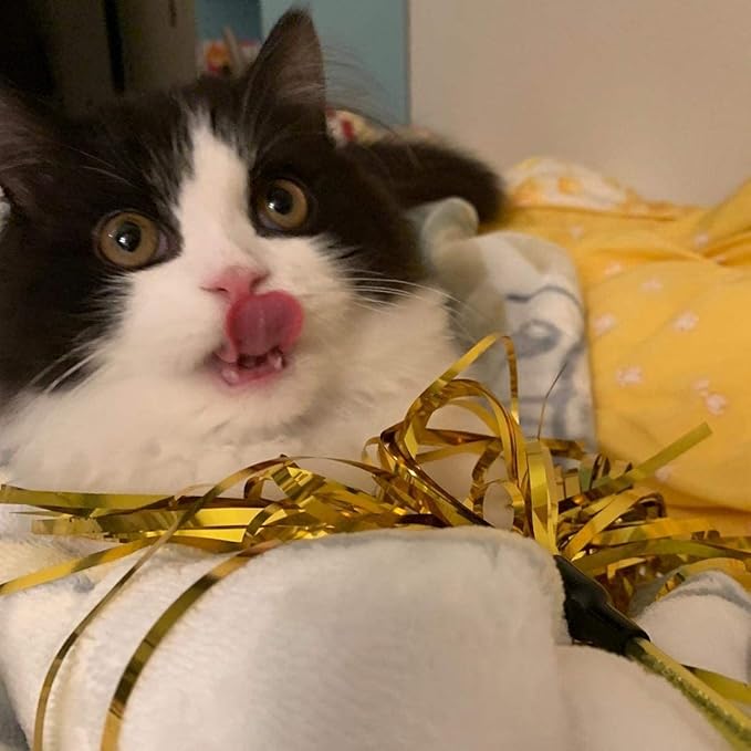 ADUCK Cat Toys Interactive Teaser Wand Toy with Tassels Worms Catcher for Cats Kitten (Pack of 3 Gold + Silver + Green)