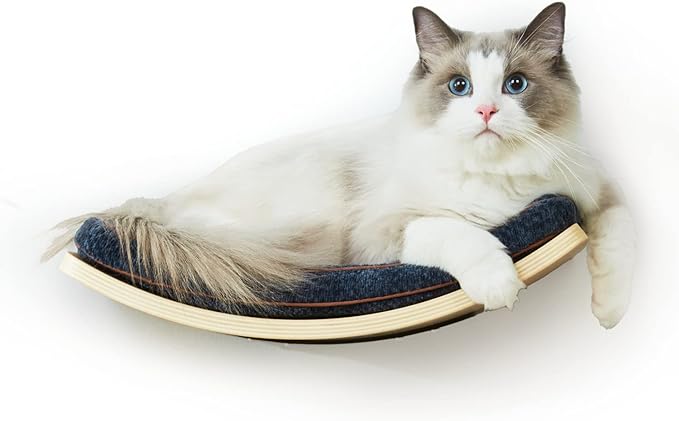 Cat Shelf with Comfortable Cat Cushion - Curved Cat Shelves and Perches for Wall (Medium Size) - Wall Mounted Cat Furniture for Sleeping, Playing, Climbing, and Lounging