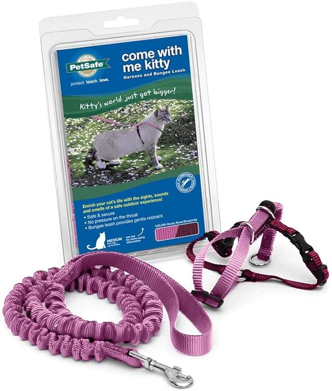 PetSafe Come with Me Kitty Harness and Bungee Leash, Large, Dusty Rose
