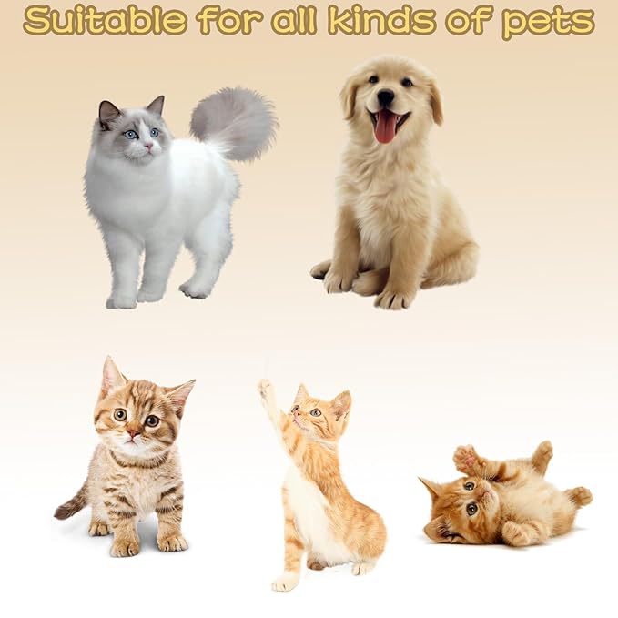 3-in-1 Cat Massage Brush with Steam Function for Cats - Removes Tangles, Provides Soothing Grooming Experience