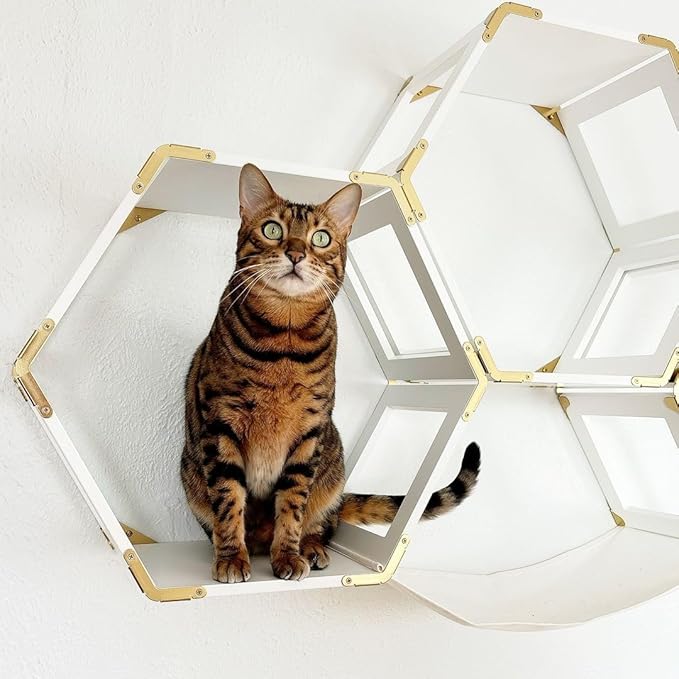 Cat Wall Furniture Set, Wall Mounted Cat Climbing Floating Shelf with Cat Entry Stairs and Hammock, White Perch Hexagons Shelves For Climber Cats, Cat Wall Tree With Window Hammock Bridge Bed