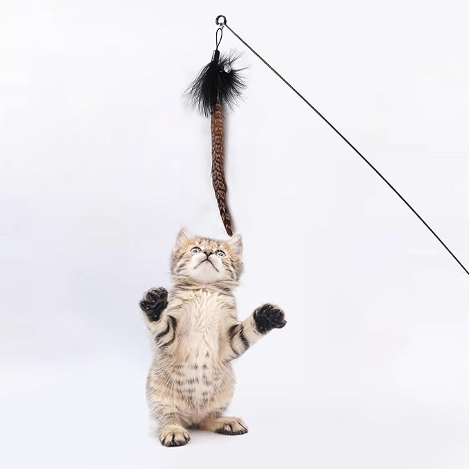 10 Pieces Cat Insect Feather Toys Replacement Cat Toy Wand Refills Interactive Cat Teaser Wand Attachments with Bell for Cat Toy