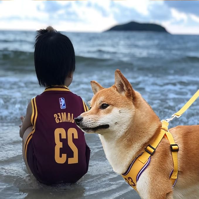 Dog Vest Harness Breathable-Escape Proof Dog Harness -Adjustable Reflective Number Dogs Vest with Outdoor Pet Leash, Easy Control for Small,Medium Breeds (Yellow,M)