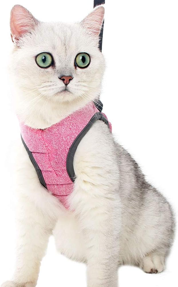 Heywean Cat Harness and Leash - Ultra Light Escape Proof Kitten Collar Cat Walking Jacket with Running Cushioning Soft and Comfortable Suitable for Puppies Rabbits (L, Pink)