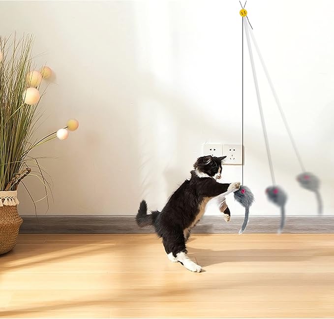 Andiker 5Pcs Interactive Cat Toys for Indoor Cats, Triangular Hook Door Frame Cat Toy with The Adjustable Elastic Rope Cat Mouse Toy and 4pcs Cats Springs Self-Playing Cat Catching Toys (Hang)