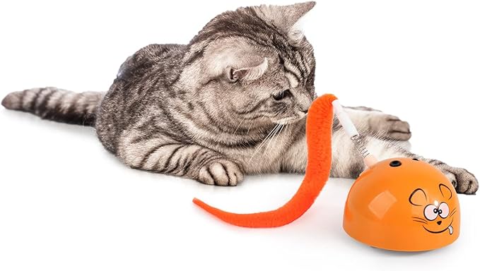 ALL FOR PAWS Interactive Cat Ball Toy (Orange)