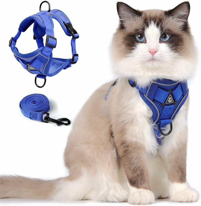 Cat Harness and Leash Set, Upgraded Escape Proof Adjustable Kitten Vest with Lead for Small Cat Outdoor Walking, Soft Breathable Mesh Jacket with Reflective Strips for Dark Night (S, Klein Blue)