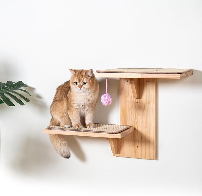 Cat Wall Shelves | Modern Cat Wall Climber w/Removable Toy Ball Included - Wall Mounted Cat Furniture Tree for Large & Small Cats - Sturdy Cat Climbing Wall Used as Safe Perch & Bed - Easy Assembly