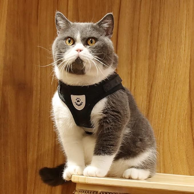 Comfort Step-in Cat Dog Harness and Leash Set for Puppies Cats Kitty Escape Proof Pet Vest Harnesses for Small Animals Rabbit/Mouse/Cats (S:1.5-3KG, Black)